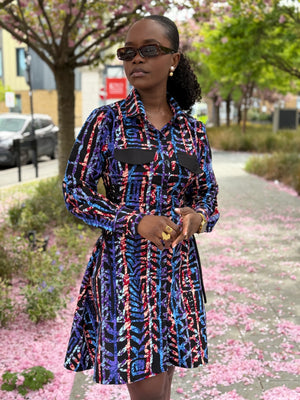 Eshun Mini Dress